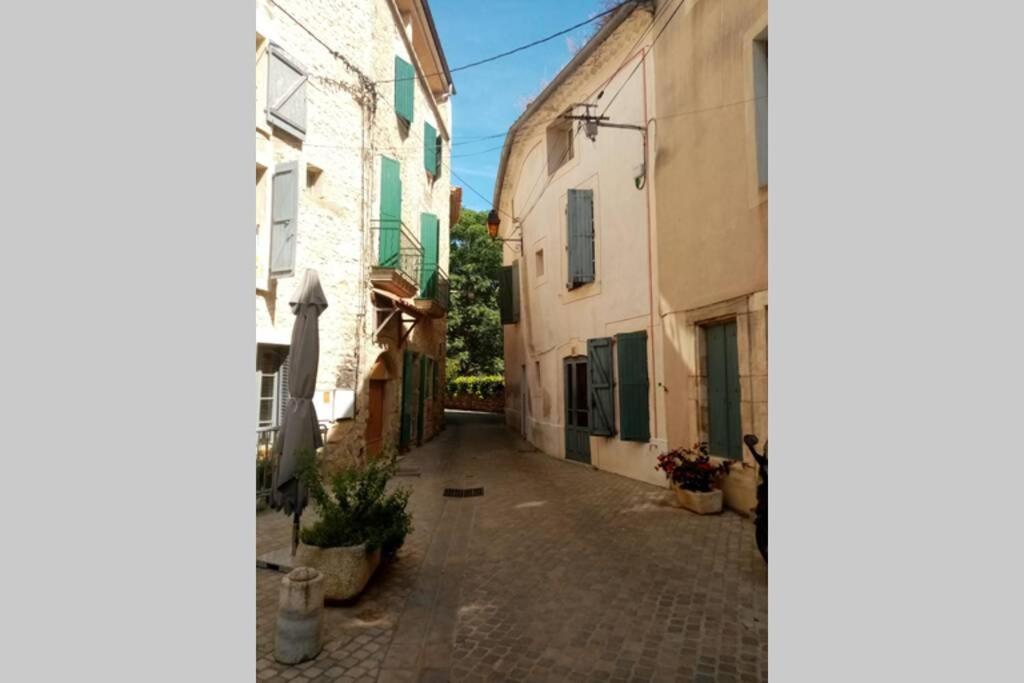 Character Filled House Overlooking The River Cesse Bize-Minervois Luaran gambar